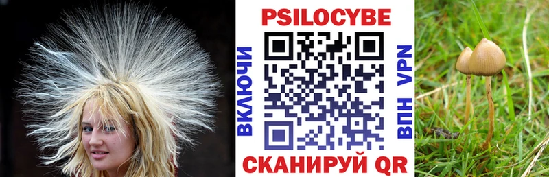 Псилоцибиновые грибы GOLDEN TEACHER  Хилок 
